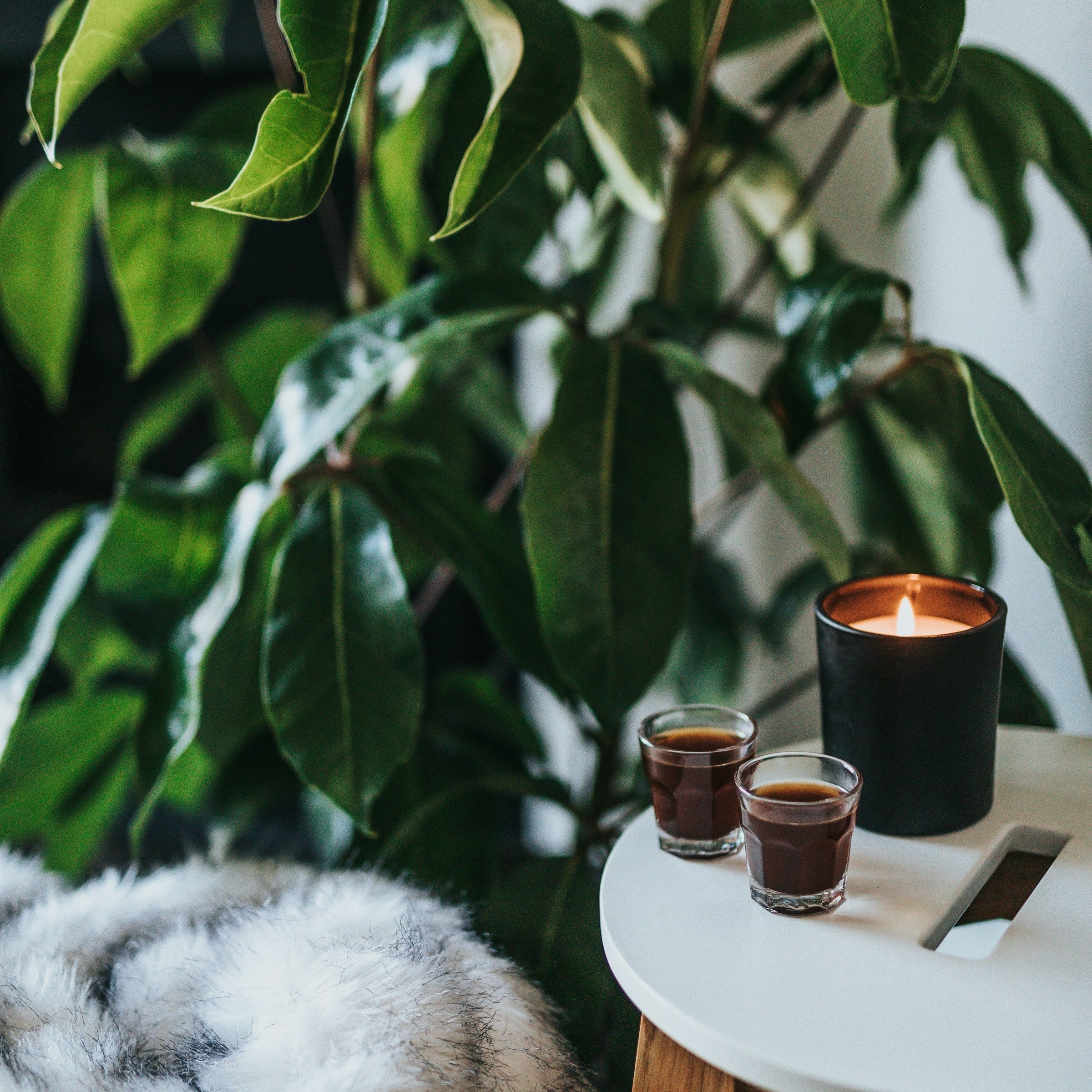 ✨ Feng Shui & Candles: Infuse Your Space with Energy & Balance 🔥