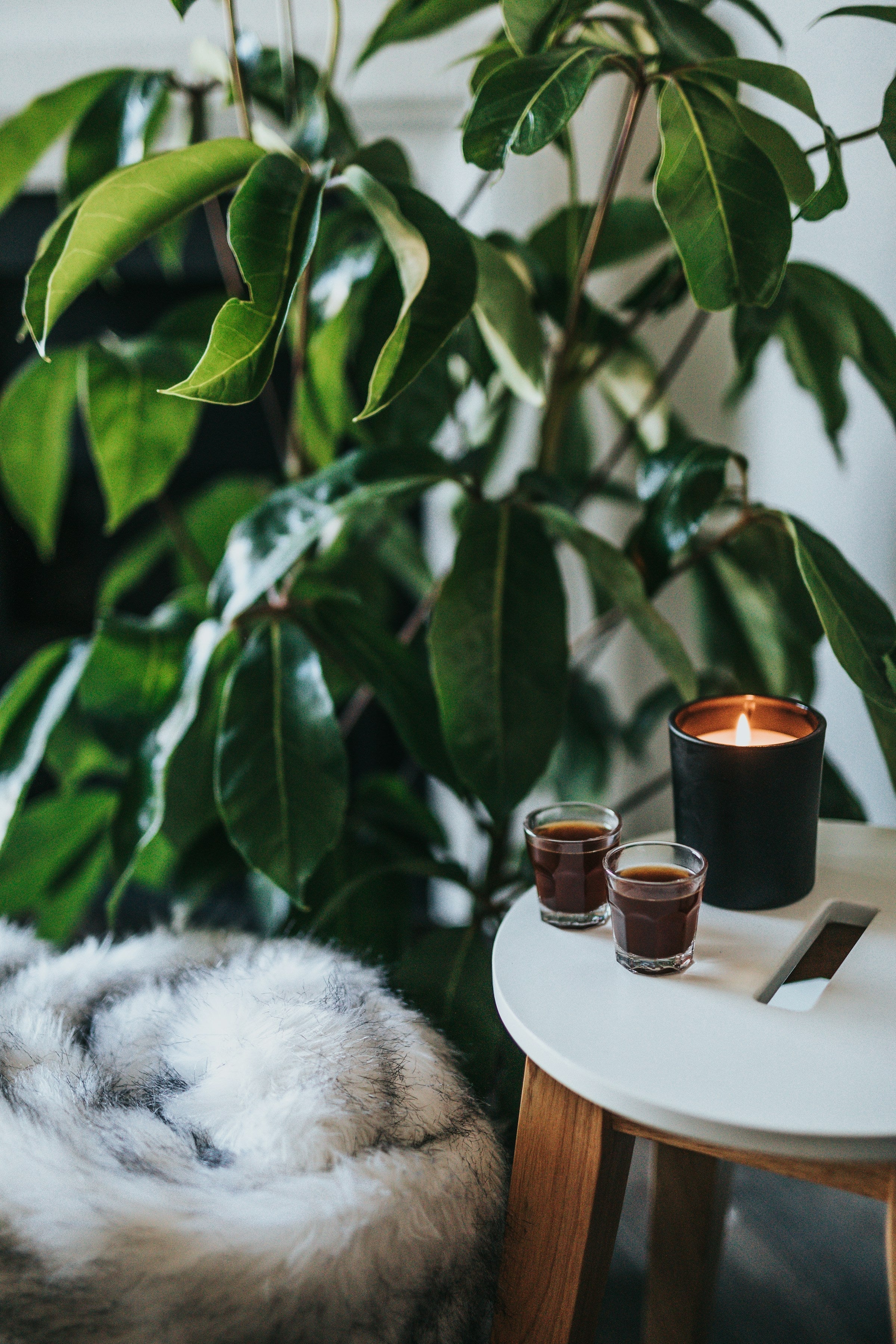 ✨ Feng Shui & Candles: Infuse Your Space with Energy & Balance 🔥