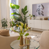 The Muse: Skin Glow Lotion Candle | Inspired by Iman