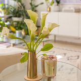 Creole Goddess: Skin Glow Lotion Candle