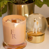 Smooth Operator: Skin Glow Lotion Candle