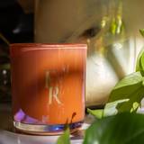 Island Life: Skin Glow Lotion Candle